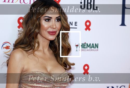 Amsterdam 8 juni 2024
Het Amsterdam diner in AFAS live . Vele Bekende mensen en zakenmensen kwamen naar het gala waar geld opgehaald wordt voor het aids fonds. Tamara Elbaz