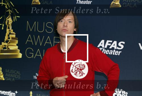 Leusden 24 april 2024
Musical awards Gala bij het Afas Theater in Leusden. Tobias Nierop