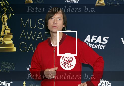 Leusden 24 april 2024
Musical awards Gala bij het Afas Theater in Leusden. Tobias Nierop