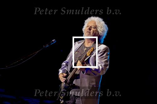Weert, 12 Juli  13 juli  14 juli 2024
Bospop concerten
Toto Steve Lukather 

Exclusieve foto: Carlo van Hout