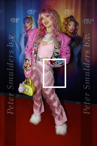 Amsterdam 19 juni 2025
Premiere a drags life bij pathe de munt . 
Amanda v Effrink