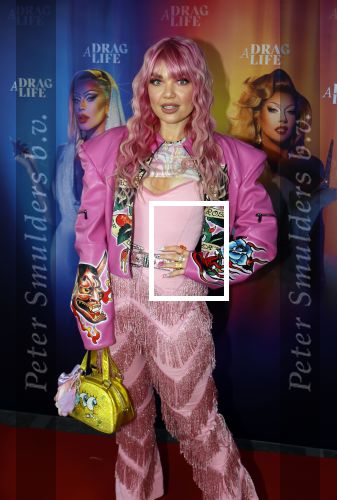 Amsterdam 19 juni 2025
Premiere a drags life bij pathe de munt . 
Amanda v Effrink