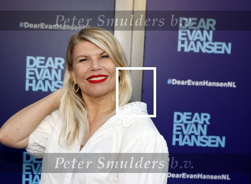 Amsterdam 16 juni 2025
Premiere Dear Evan Hansen in het deLaMar theater . Anne Marie Jung