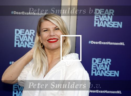 Amsterdam 16 juni 2025
Premiere Dear Evan Hansen in het deLaMar theater . Anne Marie Jung