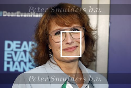 Amsterdam 16 juni 2025
Premiere Dear Evan Hansen in het deLaMar theater . Anouk v Nes