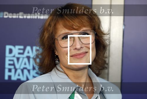 Amsterdam 16 juni 2025
Premiere Dear Evan Hansen in het deLaMar theater . Anouk v Nes