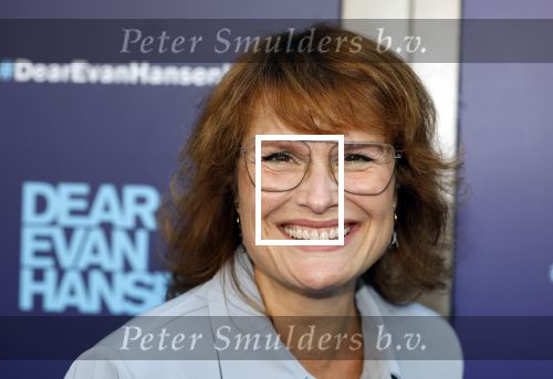 Amsterdam 16 juni 2025
Premiere Dear Evan Hansen in het deLaMar theater . Anouk v Nes