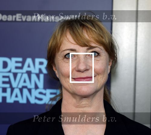 Amsterdam 16 juni 2025
Premiere Dear Evan Hansen in het deLaMar theater . Bianca Krijgsman kwam met haar dochter