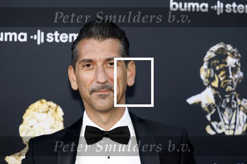Amsterdam 2 juni 2025
Uitreiking Buma prijzen in de schouwburg van Amsterdam. Danny Vera met zijn vrouw