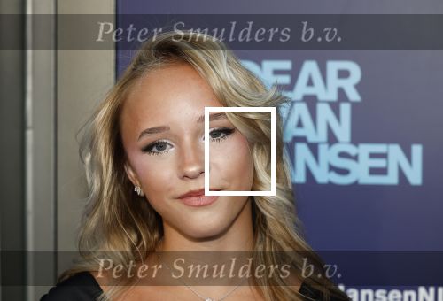 Amsterdam 16 juni 2025
Premiere Dear Evan Hansen in het deLaMar theater . Emma Kok kwam met haar moeder