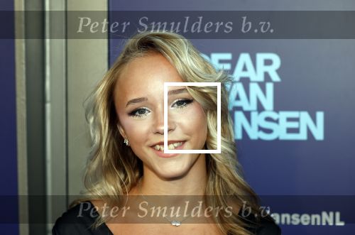 Amsterdam 16 juni 2025
Premiere Dear Evan Hansen in het deLaMar theater . Emma Kok kwam met haar moeder