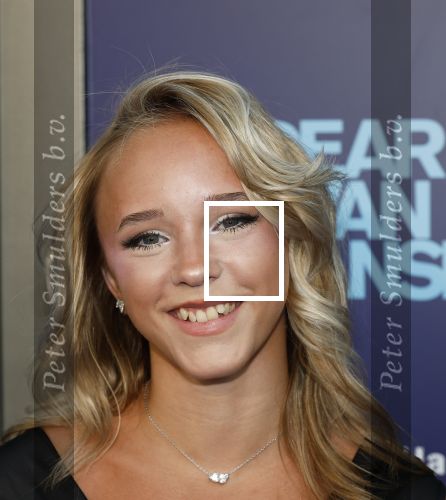Amsterdam 16 juni 2025
Premiere Dear Evan Hansen in het deLaMar theater . Emma Kok kwam met haar moeder