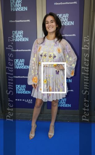 Amsterdam 16 juni 2025
Premiere Dear Evan Hansen in het deLaMar theater . Esmee Dekker kwam met haar vriend