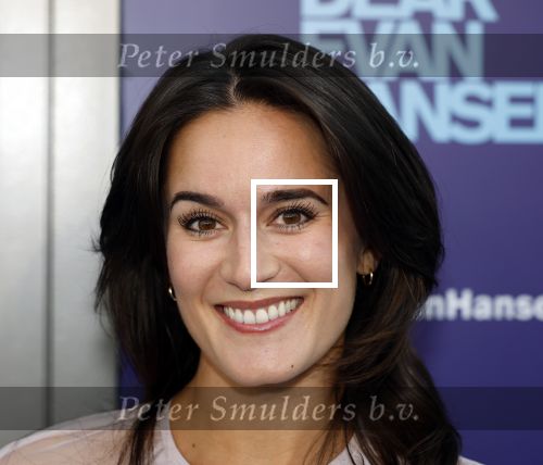 Amsterdam 16 juni 2025
Premiere Dear Evan Hansen in het deLaMar theater . Esmee Dekker kwam met haar vriend