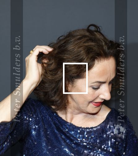 Amsterdam 14 juni 2025
Amsterdam diner in het afas live . Femke Halsema en Touria Meliani
