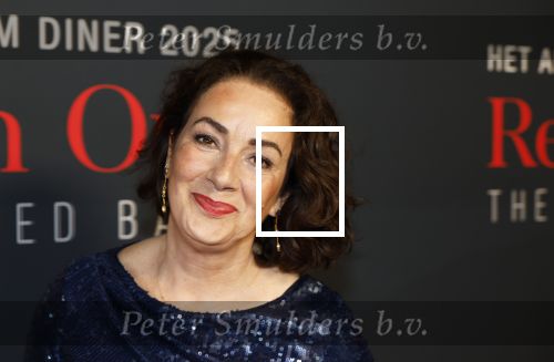 Amsterdam 14 juni 2025
Amsterdam diner in het afas live . Femke Halsema en Touria Meliani