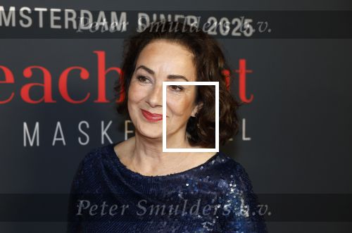 Amsterdam 14 juni 2025
Amsterdam diner in het afas live . Femke Halsema en Touria Meliani