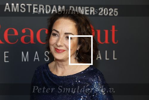 Amsterdam 14 juni 2025
Amsterdam diner in het afas live . Femke Halsema en Touria Meliani