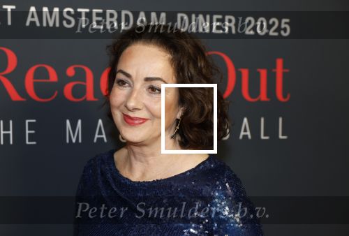 Amsterdam 14 juni 2025
Amsterdam diner in het afas live . Femke Halsema en Touria Meliani