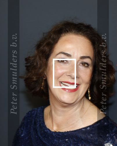Amsterdam 14 juni 2025
Amsterdam diner in het afas live . Femke Halsema en Touria Meliani