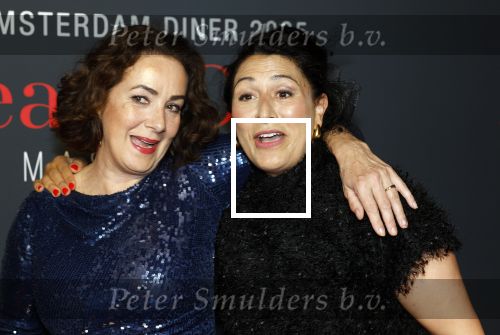 Amsterdam 14 juni 2025
Amsterdam diner in het afas live . Femke Halsema en Touria Meliani