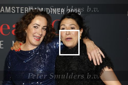 Amsterdam 14 juni 2025
Amsterdam diner in het afas live . Femke Halsema en Touria Meliani