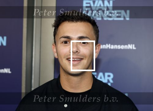 Amsterdam 16 juni 2025
Premiere Dear Evan Hansen in het deLaMar theater . Flemming
