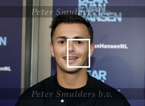 Amsterdam 16 juni 2025
Premiere Dear Evan Hansen in het deLaMar theater . Flemming