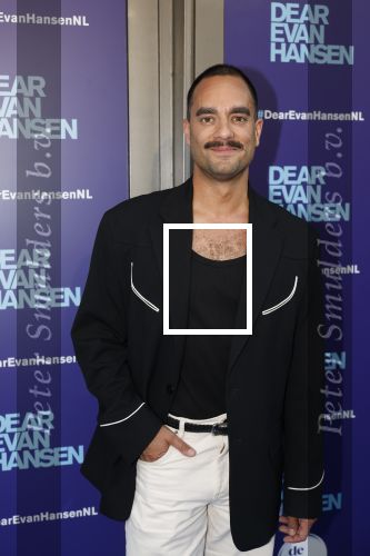 Amsterdam 16 juni 2025
Premiere Dear Evan Hansen in het deLaMar theater . Freek Bartels