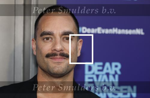Amsterdam 16 juni 2025
Premiere Dear Evan Hansen in het deLaMar theater . Freek Bartels