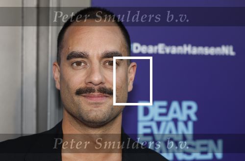 Amsterdam 16 juni 2025
Premiere Dear Evan Hansen in het deLaMar theater . Freek Bartels