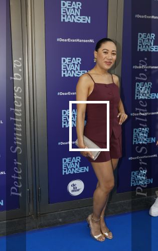 Amsterdam 16 juni 2025
Premiere Dear Evan Hansen in het deLaMar theater . Gaia Aikman kwam met haar broertje