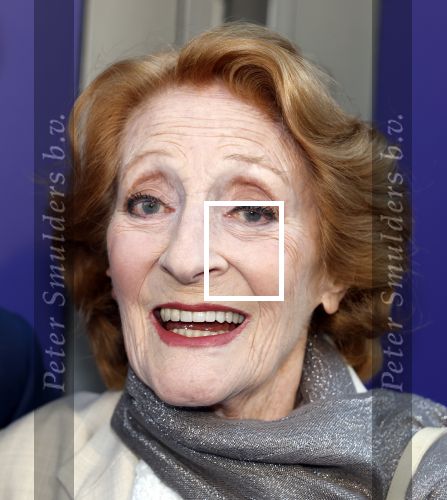 Amsterdam 16 juni 2025
Premiere Dear Evan Hansen in het deLaMar theater . Gerrie van der Klei