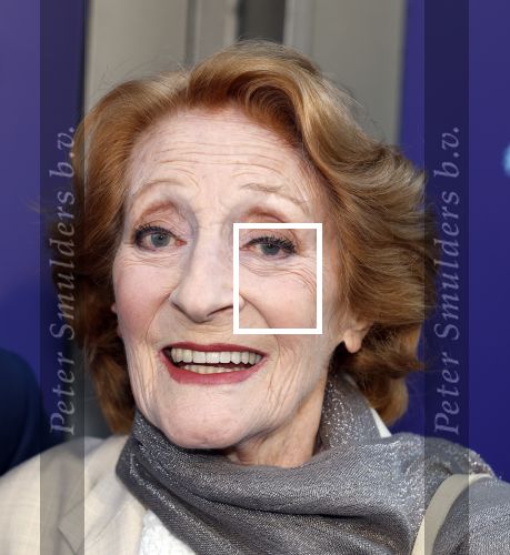 Amsterdam 16 juni 2025
Premiere Dear Evan Hansen in het deLaMar theater . Gerrie van der Klei