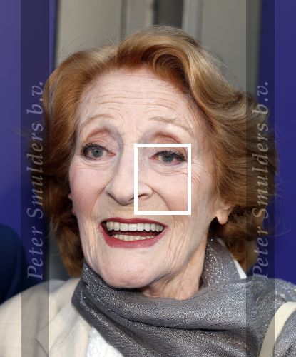 Amsterdam 16 juni 2025
Premiere Dear Evan Hansen in het deLaMar theater . Gerrie van der Klei