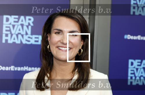 Amsterdam 16 juni 2025
Premiere Dear Evan Hansen in het deLaMar theater . Iris v d Ende