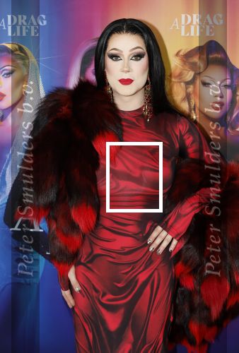 Amsterdam 19 juni 2025
Premiere a drags life bij pathe de munt . Aanwezige hoofdrolspelers zijn Miss Envy Peru en Janey Jacke .
