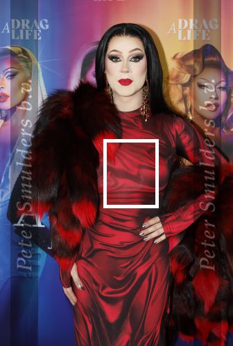 Amsterdam 19 juni 2025
Premiere a drags life bij pathe de munt . Aanwezige hoofdrolspelers zijn Miss Envy Peru en Janey Jacke .