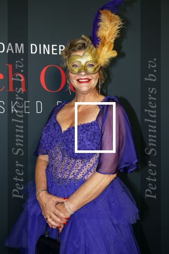Amsterdam 14 juni 2025
Amsterdam diner in het afas live . Justine Marcella