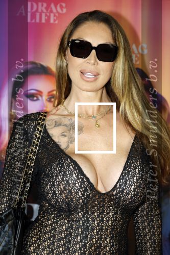 Amsterdam 19 juni 2025
Premiere a drags life bij pathe de munt . Aanwezige hoofdrolspelers zijn Miss Envy Peru en Janey Jacke . Kelly v d Veer kwam met partner