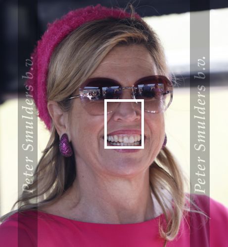 Lopik en Vianen 13 mei 2025
Streekbezoek Koning Willem Alexander en koningin Maxima . Sjors Frohlich is de brugemeester .