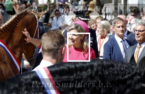 Lopik en Vianen 13 mei 2025
Streekbezoek Koning Willem Alexander en koningin Maxima . Sjors Frohlich is de brugemeester .
