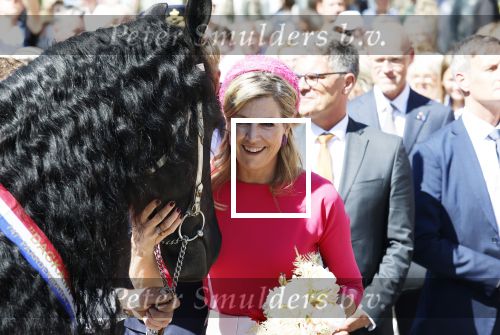 Lopik en Vianen 13 mei 2025
Streekbezoek Koning Willem Alexander en koningin Maxima . Sjors Frohlich is de brugemeester .