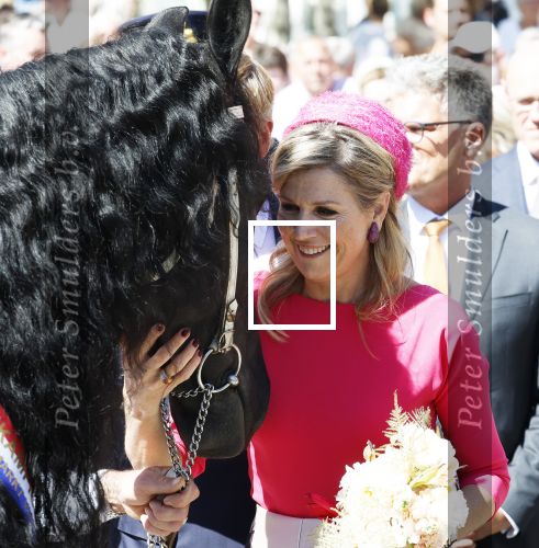 Lopik en Vianen 13 mei 2025
Streekbezoek Koning Willem Alexander en koningin Maxima . Sjors Frohlich is de brugemeester .
