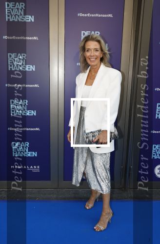 Amsterdam 16 juni 2025
Premiere Dear Evan Hansen in het deLaMar theater . Kristien v Dillen