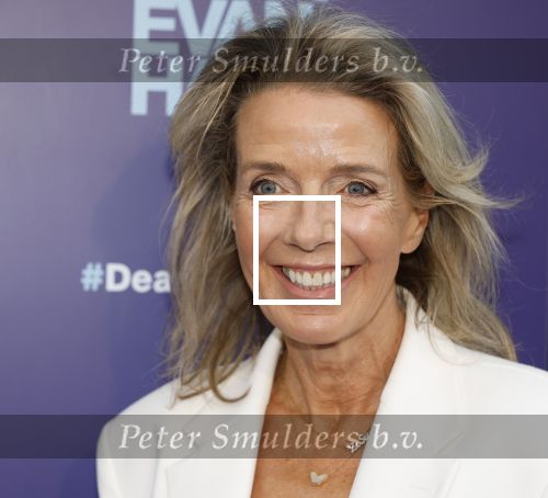 Amsterdam 16 juni 2025
Premiere Dear Evan Hansen in het deLaMar theater . Kristien v Dillen