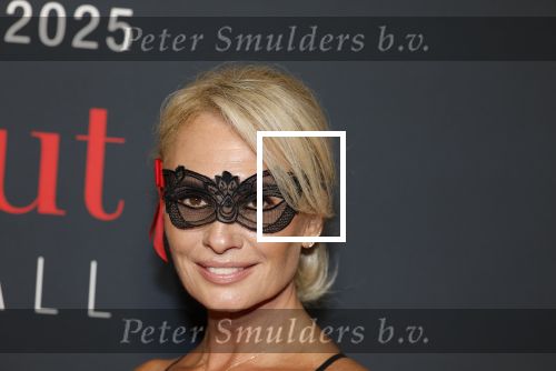Amsterdam 14 juni 2025
Amsterdam diner in het afas live . Leontine Ruiters kwam met Jordy Kok
