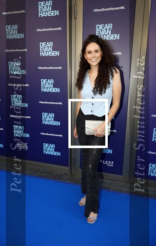 Amsterdam 16 juni 2025
Premiere Dear Evan Hansen in het deLaMar theater . Linda Verstraten