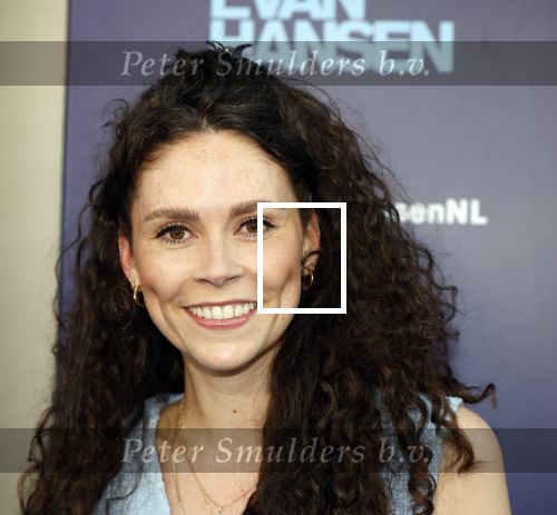 Amsterdam 16 juni 2025
Premiere Dear Evan Hansen in het deLaMar theater . Linda Verstraten