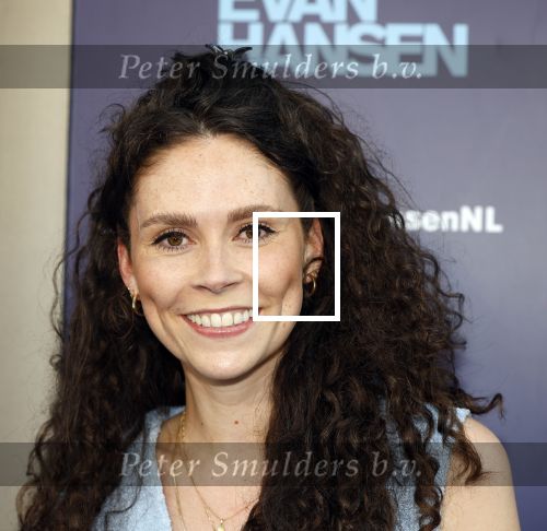 Amsterdam 16 juni 2025
Premiere Dear Evan Hansen in het deLaMar theater . Linda Verstraten